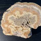Baryte
13 x 10cm
(Autor: Kevin Schofield)