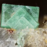 Torbernite
FOV 1mm
(Autor: david916)
