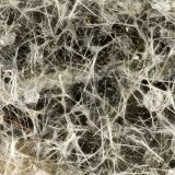 Erionite-K, Clinoptilolite-Ca, Copper
FOV = 3.3 mm
(Autor: Doug)