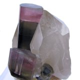 Tourmaline, Quartz
65 mm x 57 mm x 50 mm. Tourmaline: 45 tall, 13 wide. Mass: 135g
(Autor: Carles Millan)