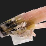Elbaite
80 mm x 40 mm. Largest crystal size: 80 mm. Mass (weight): 74 g
(Autor: Carles Millan)