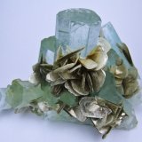 Beryl, Muscovite
100 mm x 70 mm. Main beryl crystal size: 22 mm wide
(Autor: Carles Millan)
