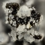 Cowlesite
FOV = 1.4 mm
(Autor: Doug)