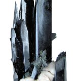 Aegirine, Orthoclase, Zircon
108mm x 51mm. Main aegirine crystal: 12mm wide, 92mm tall.
(Autor: Carles Millan)
