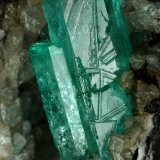 Beryl (variety emerald), Calcite
115x75x115mm, xl=20mm
(Autor: Fiebre Verde)