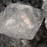 Celestine
4.0 mm
(Autor: Doug)