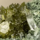 Epidote
FOV = 2.4 mm
(Autor: Doug)
