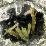 Epidote, Quartz
FOV = 2.7 mm
(Autor: Doug)