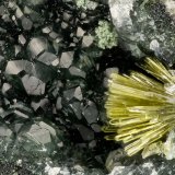 Epidote, Calcite
FOV = 2.9
(Autor: Doug)