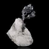 Acanthite on Calcite
3,0	x	3,5	x	5,0	cm
(Autor: MIM Museum)
