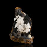 Hemimorphite on Goethite and limonite
7,0	x	7,0	x	9,0	cm
(Autor: MIM Museum)