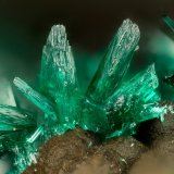 Brochantite
FOV = 1.8 mm
(Autor: Doug)