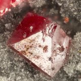 Cinnabar
FOV = 1.0 mm
(Autor: Doug)