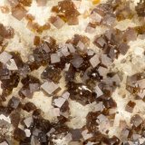 Siderite
FOV = 1.8 mm
(Autor: Doug)