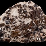 Buergerite
16,5	x	11,5	x	6,0	cm
(Autor: MIM Museum)