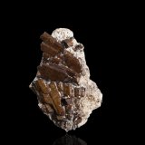 Buergerite
5,0	x	3,0	x	2,0	cm
(Autor: MIM Museum)