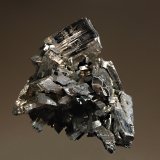 Enargite
3.3 x 3.4 cm
(Autor: Michael Shaw)