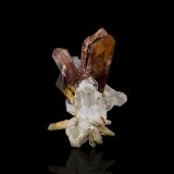 Brookite on Quartz
4,0	x	4,0	x	6,5	cm
(Autor: MIM Museum)