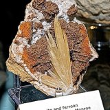 Aragonite and Dolomite (veriety ferroan dolomite) on Quartz
Aragonite is 7 cm max dimension
(Autor: Bob Harman)