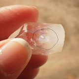 Quartz
2.5 cm tall x 1.6 cm wide
(Autor: Reelgoodwoman)