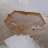 Hydroxylbastnäsite-(Ce)
FOV 5mm
(Autor: david916)