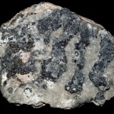 Calcite on Acanthite
13x11x3 cm
(Autor: Joseph DOliveira)