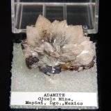 Adamite
2.1 x 2.7 cm
(Autor: Michael Shaw)