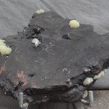 Adamite
17 x 12 x 5cm
(Autor: Dave van Bladel)