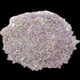 Quartz (variety amethyst) and Pyrite
100x70x20 mm
(Autor: Dany Mabillard)