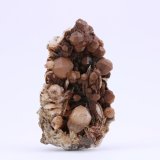 Analcime
7.5 * 4.5 cm
(Autor: Arash Ghafari)