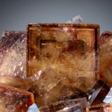 Fluorite
crystal 2 cm on edge
(Autor: Jesse Fisher)