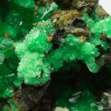 Annabergite (Mg-bearing annabergite)
4 x 2 x 2.5 cm
(Autor: xdxucn)