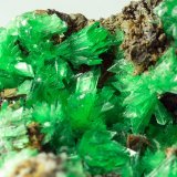 Annabergite (Mg-bearing annabergite)
4 x 2 x 2.5 cm
(Autor: xdxucn)