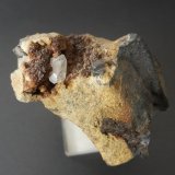 Apatite
7 mm crystal
(Autor: Andreas Gerstenberg)