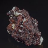 Fluorapatite, Spessartine
7.4 x 4.9 cm
(Autor: am mizunaka)