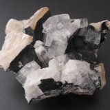Apophyllite (Series), Calcite, Julgoldite (Series)
5 x 4 cm
(Autor: Andreas Gerstenberg)
