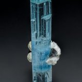 Beryl (variety aquamarine), Schorl, Albite
9.0 x 3.8 cm
(Autor: am mizunaka)