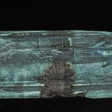 Beryl (variety aquamarine), Columbite-(Fe)
5.7 x 2.5 cm
(Autor: am mizunaka)