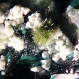 Atacamite and chrysocolla
FOV 20 mm
(Autor: Adrian Pripoae)