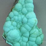 Chalcoalumite
6.3cm x 5.0cm
(Autor: rweaver)