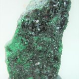 Antlerite
6.0cm x 3.5cm
(Autor: rweaver)