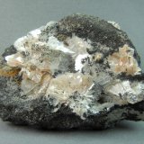 Leadhillite and Cerussite
5.0cm x 4.1cm
(Autor: rweaver)