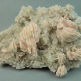 Barite on Quartz
6.5cm x 4.8cm
(Autor: rweaver)