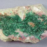 Brochantite
7.2cm x 4.5cm
(Autor: rweaver)