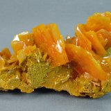 Wulfenite
6.0cm x 4.0cm
(Autor: rweaver)