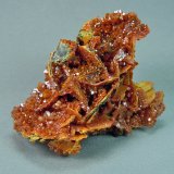 Vanadinite after Wulfenite
6.5cm  5.4cm
(Autor: rweaver)