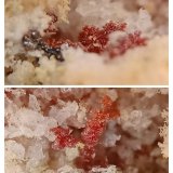 Kremersite
3x1 mm
(Autor: mineralenzo)