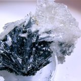 Barite
H:7.3 cm x W:4 cm x D:3.5 cm
(Autor: Adrian Pripoae)