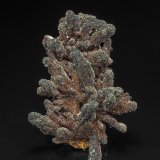 Barite, Stibnite
7.7 x 4.9 cm
(Autor: am mizunaka)