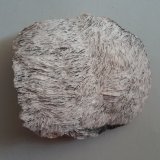 Barite
13 cm
(Autor: h.abbasi)